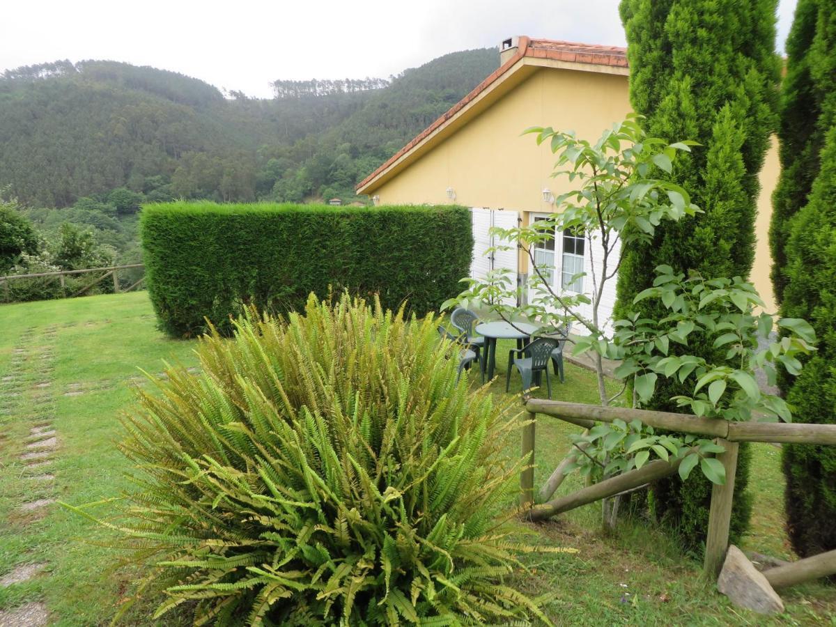 Apartamentos El Otero De Cudillero Сото-де-Луйна Номер фото